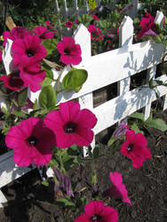 Similar image 22530904