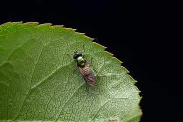 Similar image 22577568