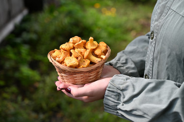 Similar image 22523024