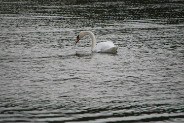 Similar image 22536277