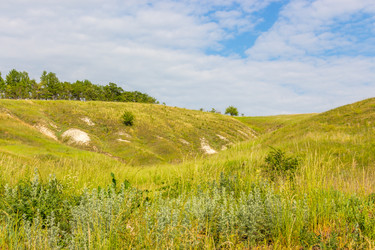 Similar image 22520669