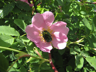 Similar image 22530927