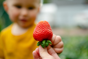 Similar image 22578429