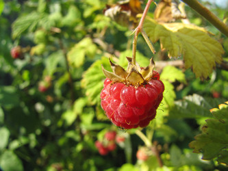 Similar image 22530928