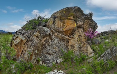 Similar image 22526006