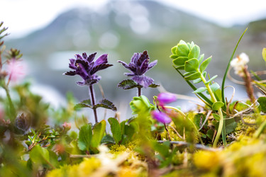 Similar image 22577895