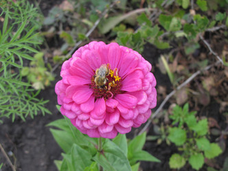 Similar image 22530930