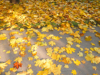 Similar image 22527745