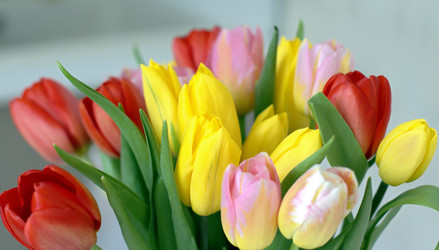 Similar image 22555384