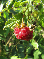 Similar image 22530943