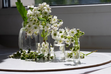 Similar image 22523037