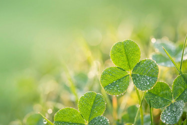 Similar image 22520713