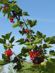 Similar image 22530945