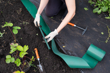 Similar image 22523039