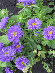 Similar image 22530946