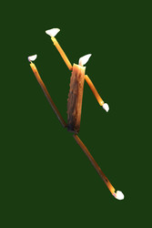 Similar image 22528895