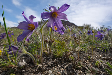 Similar image 22526007