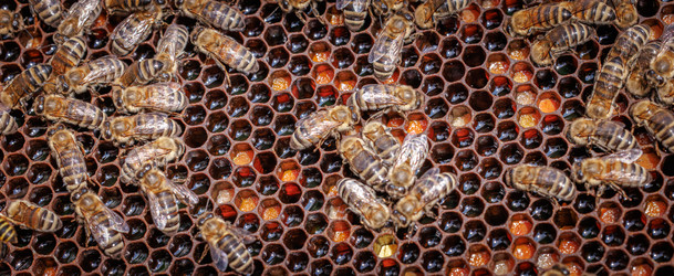 Similar image 22580284