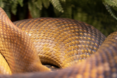 Similar image 22555932