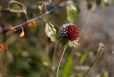 Similar image 22555470