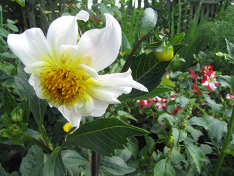 Similar image 22530949