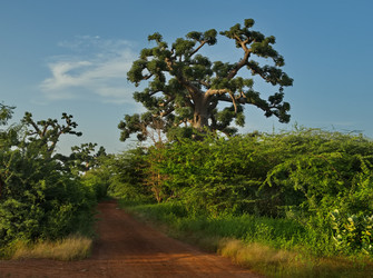 Similar image 22560008