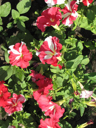 Similar image 22530950