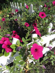 Similar image 22530952