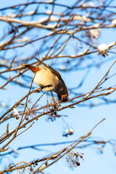 Similar image 22529848