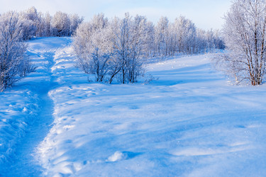 Similar image 22529892