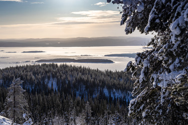 Similar image 22523407