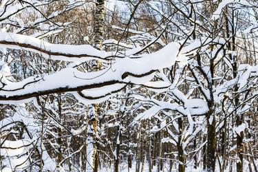 Similar image 22529545