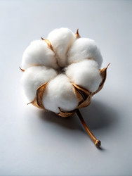 Similar image 22538350