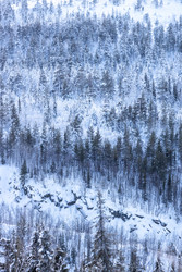 Similar image 22529612