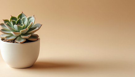 Similar image 22555653