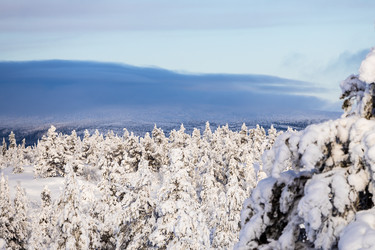 Similar image 22529169