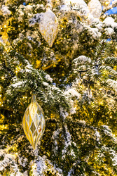 Similar image 22529171