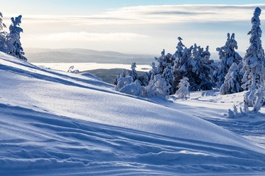 Similar image 22529200