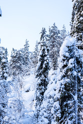 Similar image 22529228