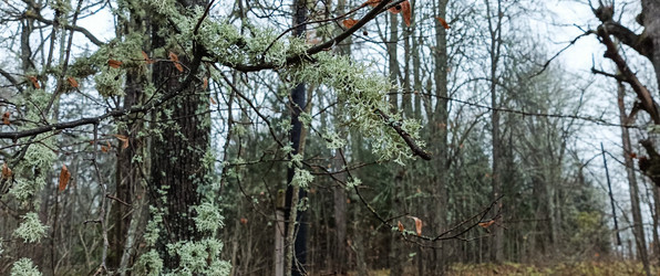 Similar image 22560186