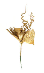 Similar image 22531973