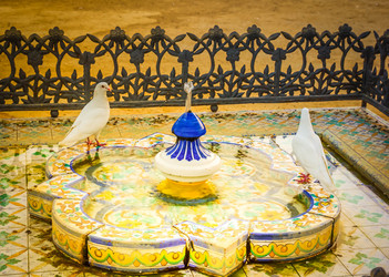 Similar image 22587669