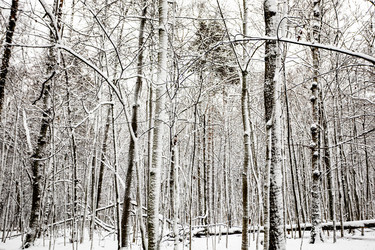 Similar image 22529548