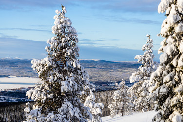 Similar image 22529663