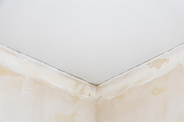 Similar image 22529731