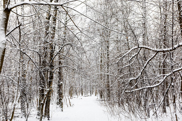 Similar image 22529826