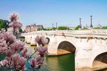 Similar image 22587311