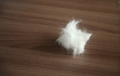 Similar image 22522990