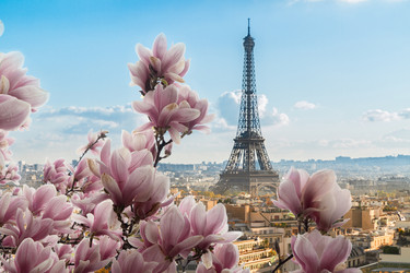 Similar image 22587639