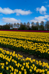 Similar image 22587748